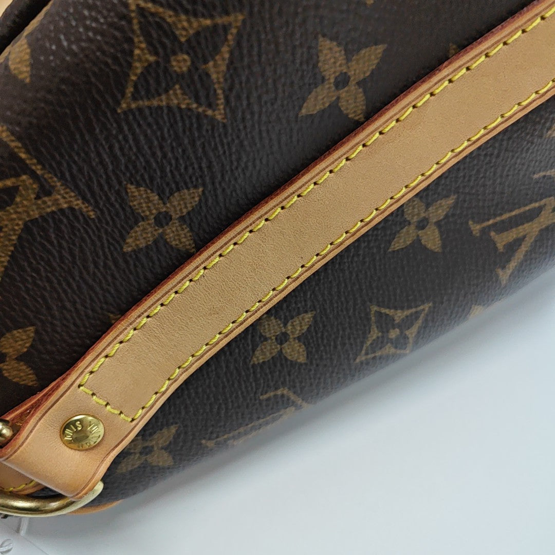 SPEEDY 25 Monogram Coated Canvas Brown