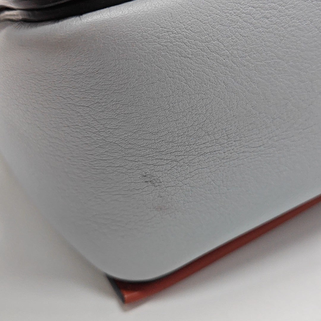 FRAME Medium Calfskin Multicolor