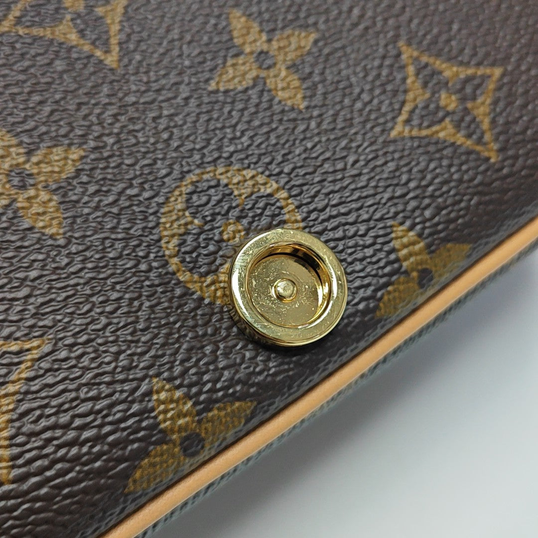 DIANE Nano Monogram Coated Canvas Brown