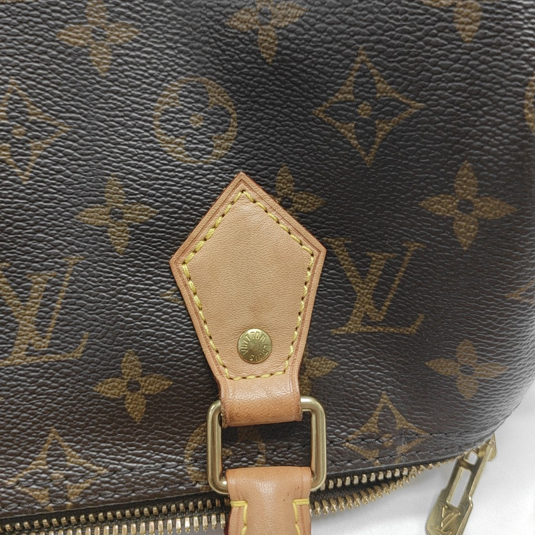 SPEEDY 25 Monogram Coated Canvas Brown