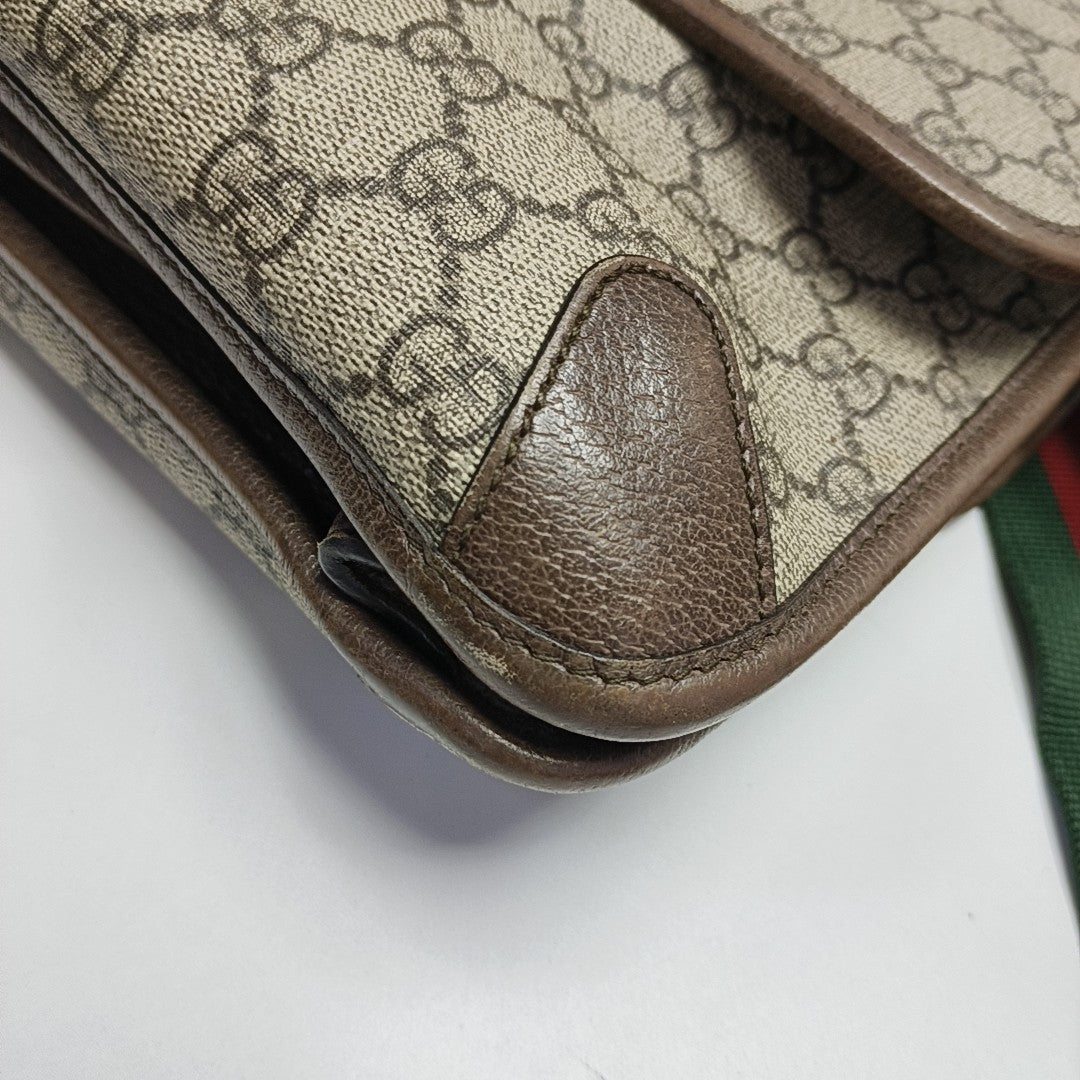Neo Vintage Large Monogram Coated Canvas Brown