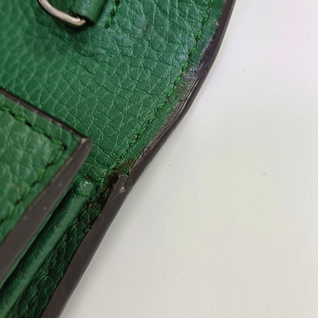 Dionysus Mini Calfskin Green