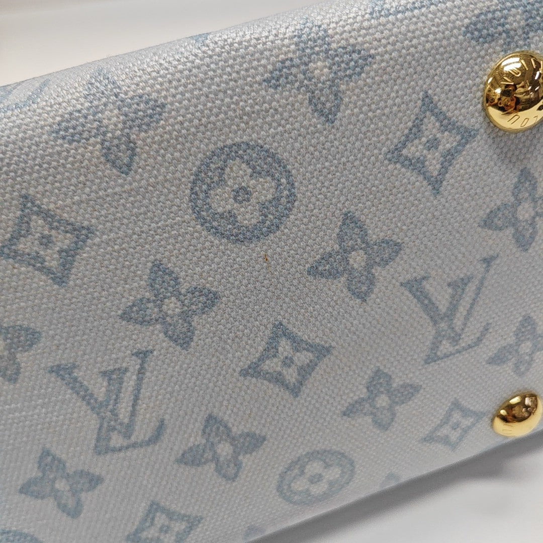 CARRYALL PM Monogram Coated Canvas Blue