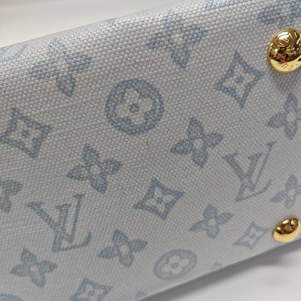 CARRYALL PM Monogram Coated Canvas Blue