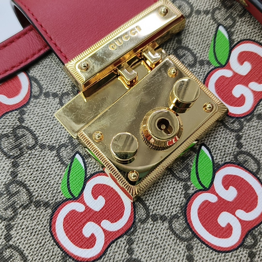 Padlock Small Monogram Coated Canvas Multicolor