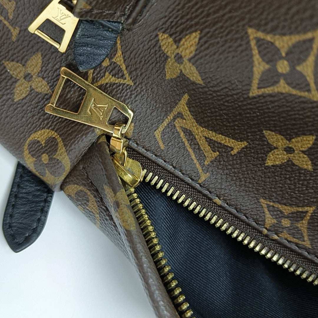 PALM SPRINGS MM Monogram Coated Canvas Brown
