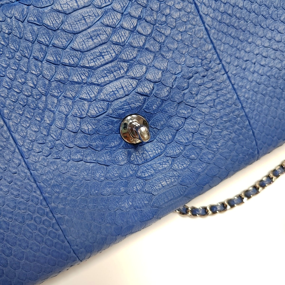 Python Blue