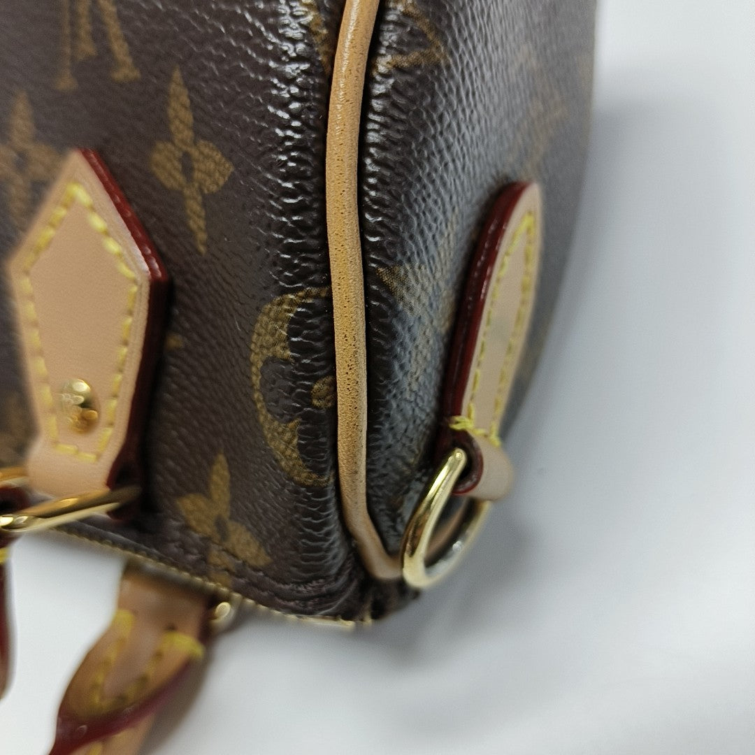 SPEEDY Nano Monogram Coated Canvas Brown