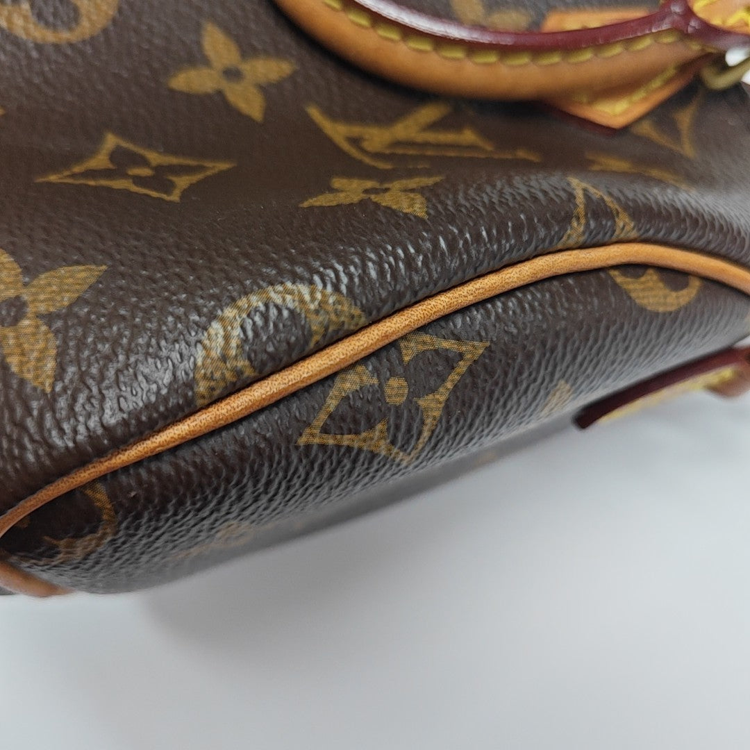 SPEEDY Nano Monogram Coated Canvas Brown