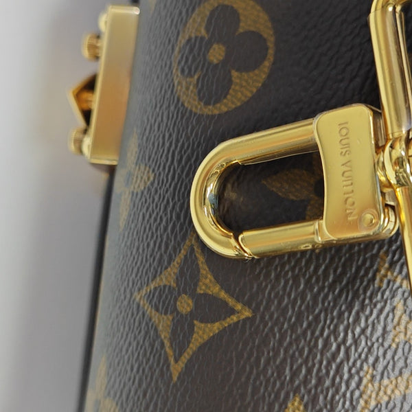 PAPILLON 19 Monogram Coated Canvas Brown