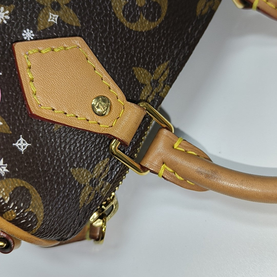 SPEEDY Nano Monogram Coated Canvas Brown