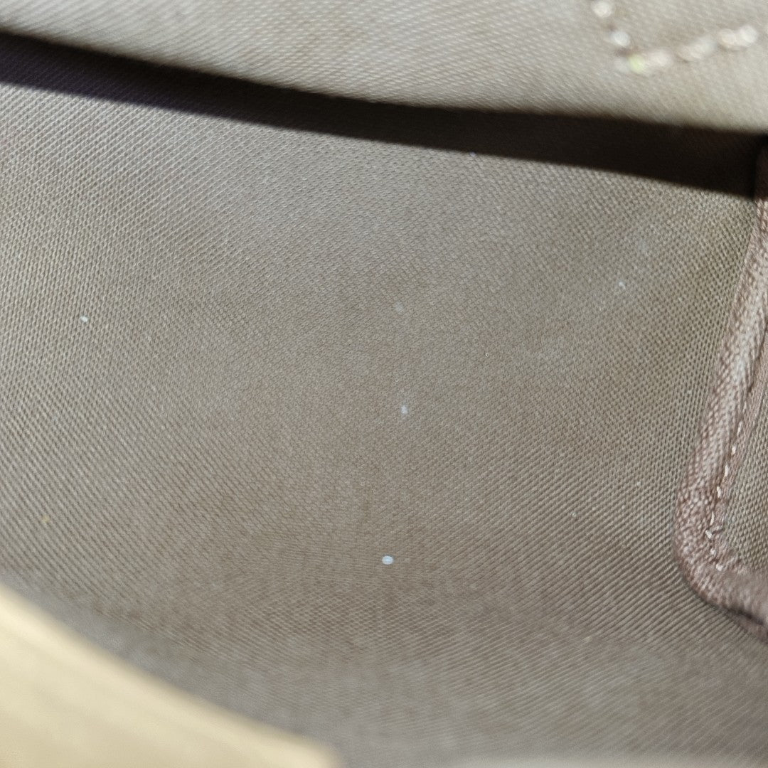 SPEEDY Nano Monogram Coated Canvas Brown