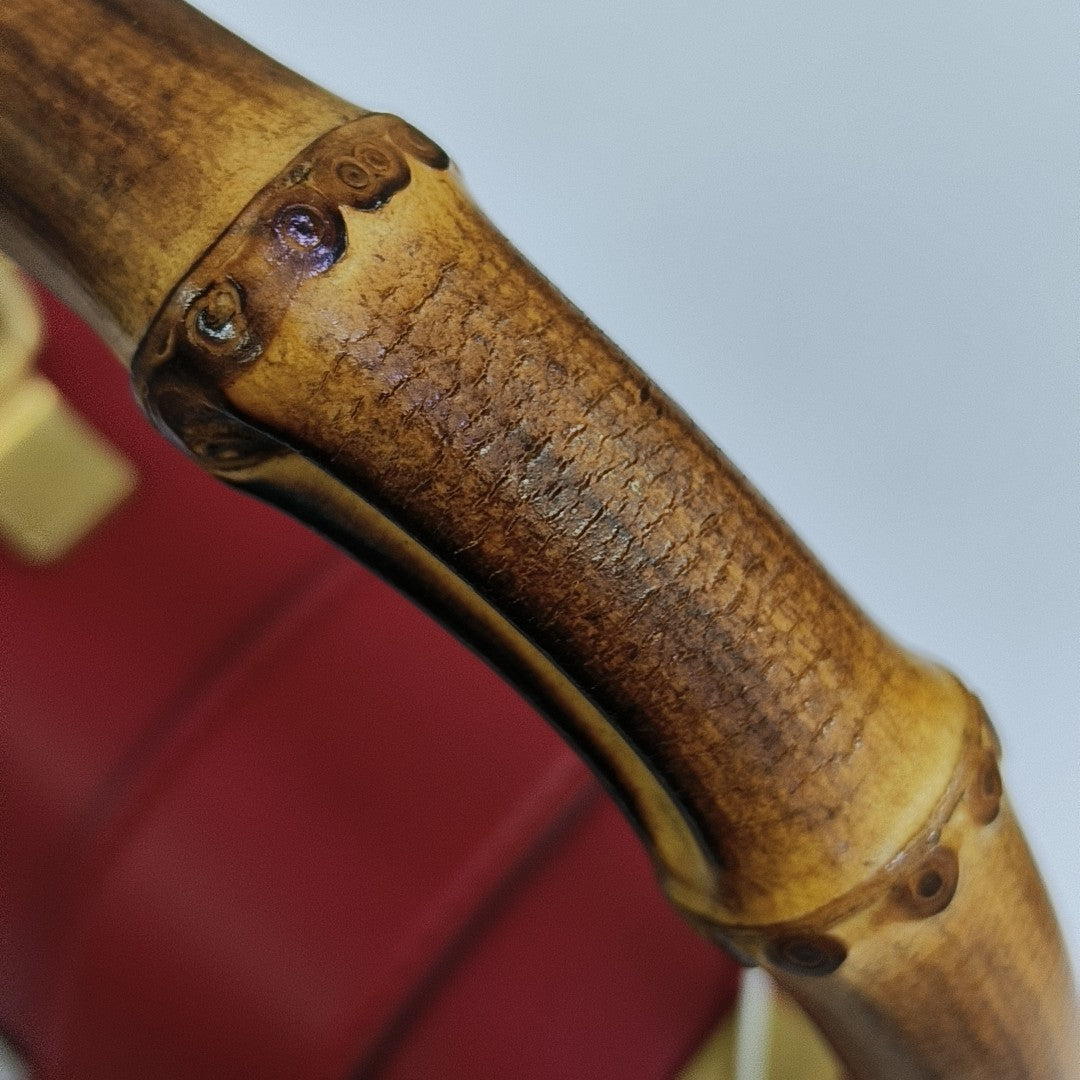 Dionysus Medium Calfskin Red