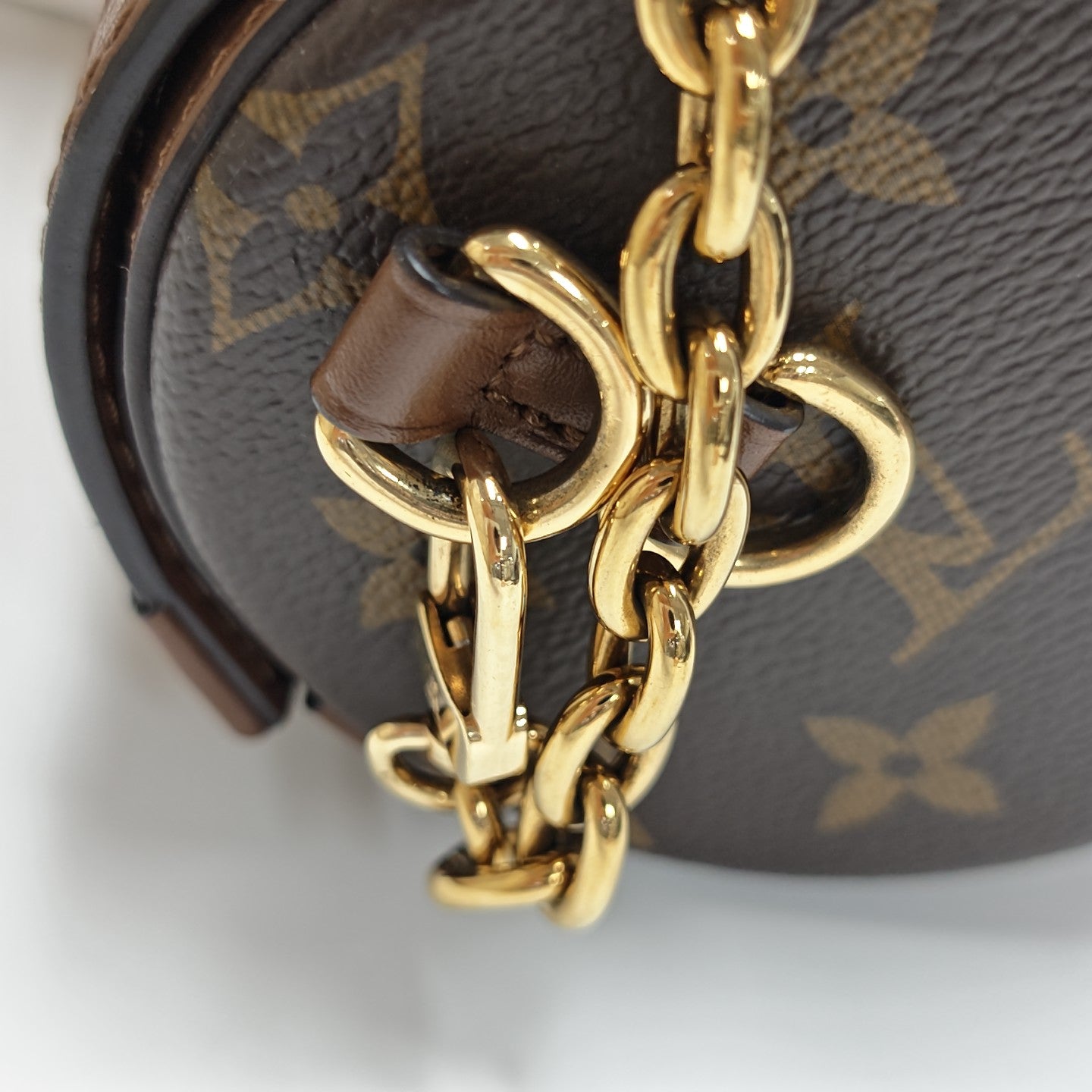PAPILLON 19 Monogram Coated Canvas Brown