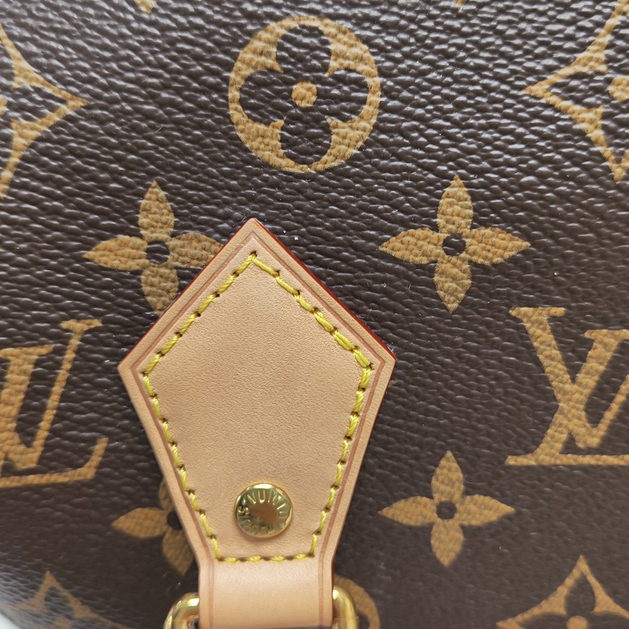 SPEEDY 20 Monogram Coated Canvas Brown