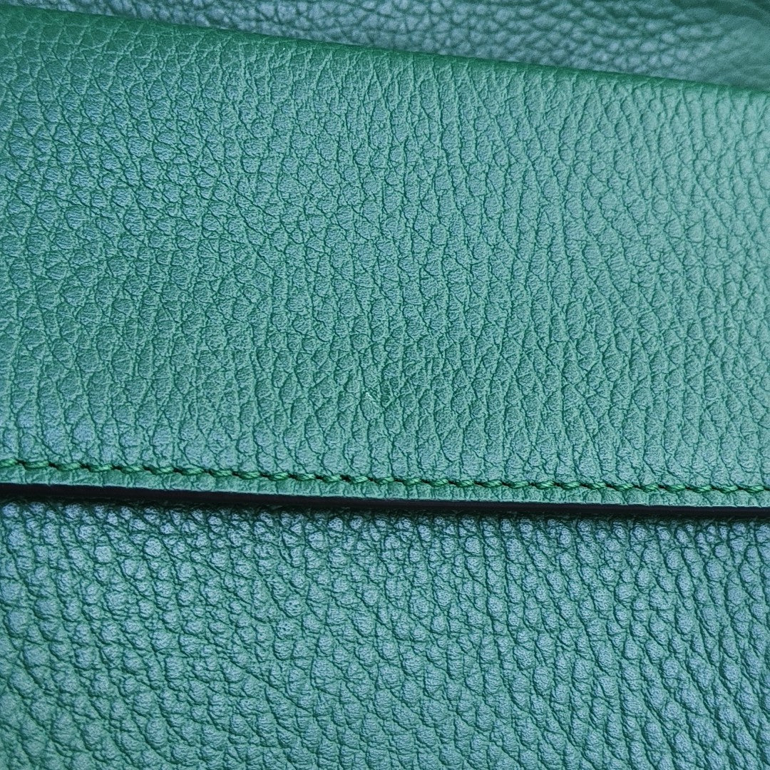 Dionysus Mini Calfskin Green