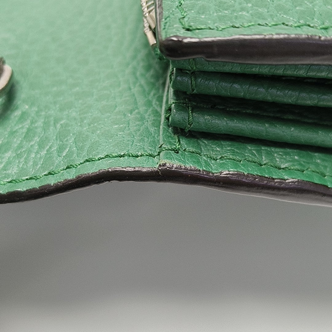 Dionysus Mini Calfskin Green