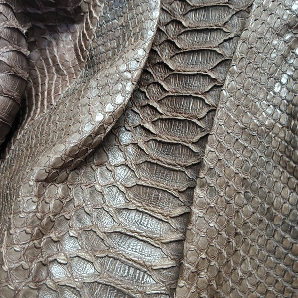 Python Brown