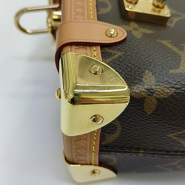 SIDE TRUNK PM Monogram Coated Canvas Brown