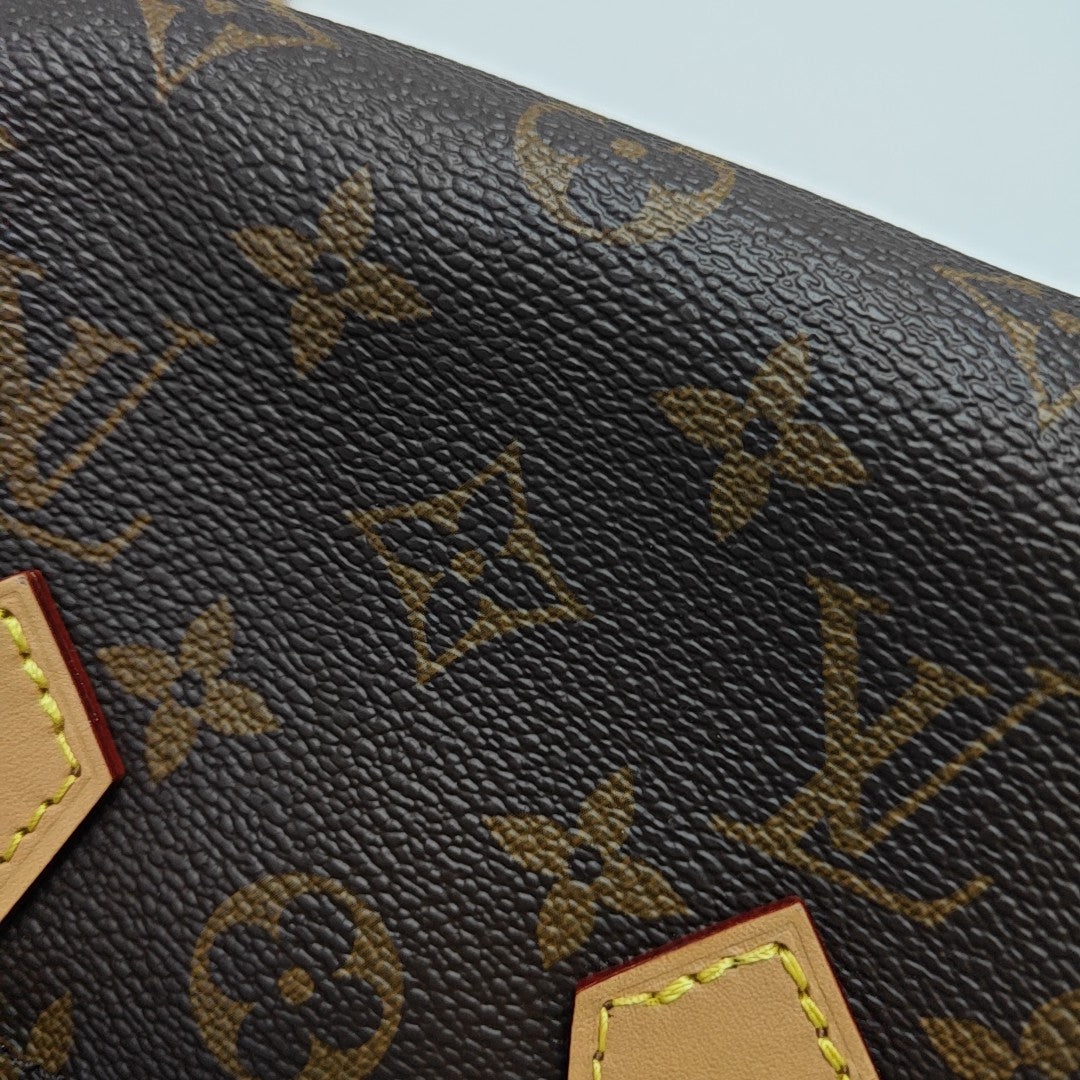 SPEEDY Nano Monogram Coated Canvas Brown