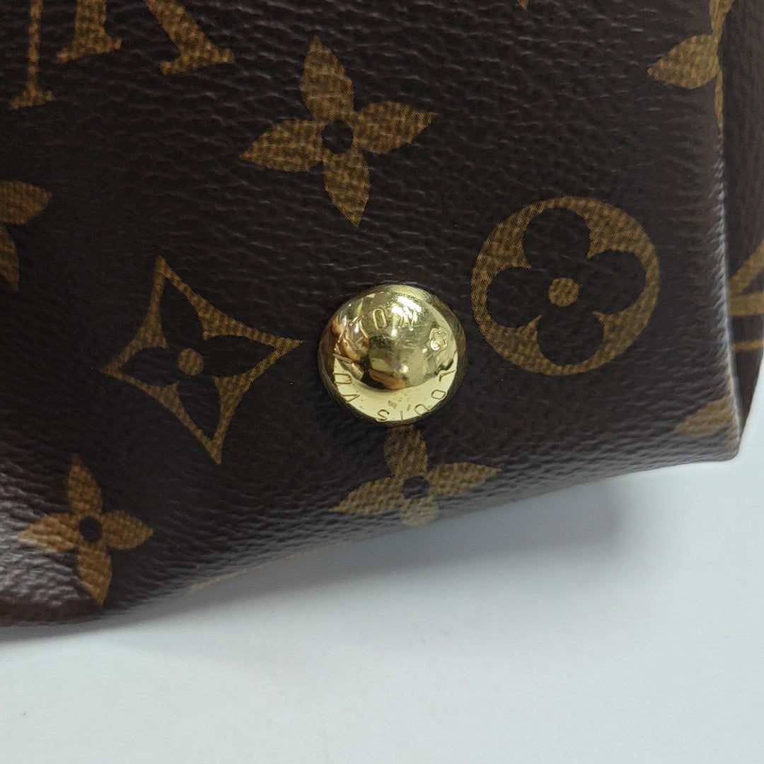 CARRYALL PM Monogram Coated Canvas Brown