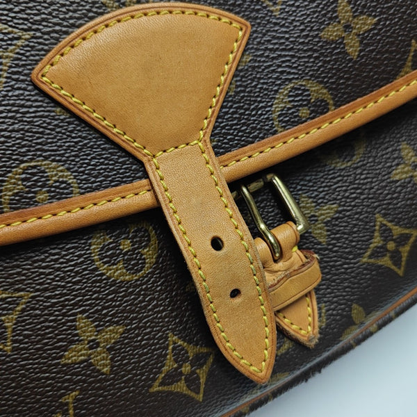 SOLOGNE PM Monogram Coated Canvas Brown