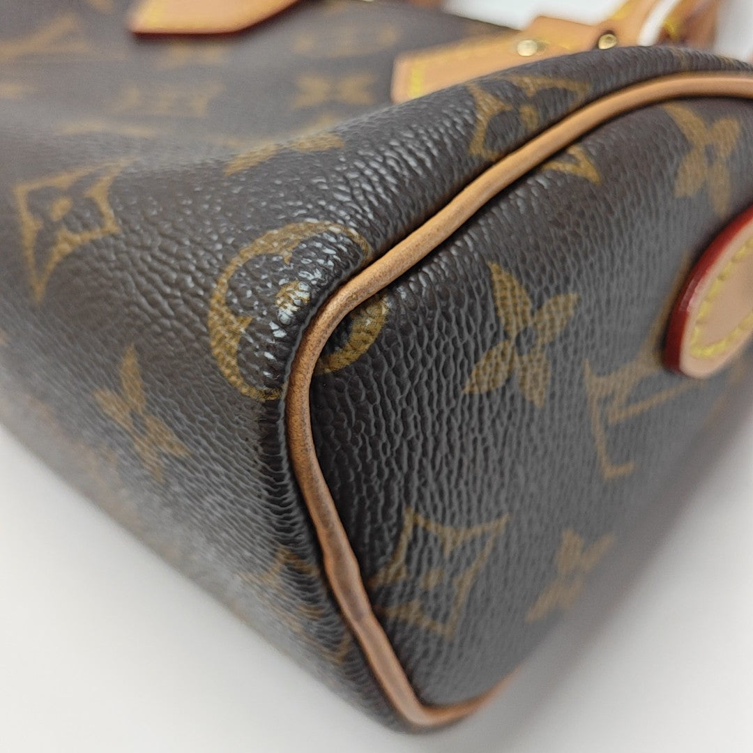 SPEEDY Nano Monogram Coated Canvas Brown
