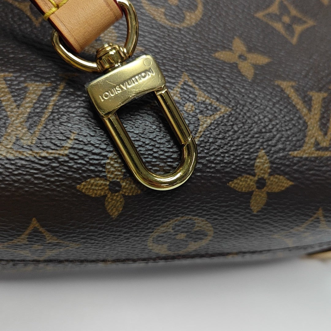 SIDE TRUNK PM Monogram Coated Canvas Brown