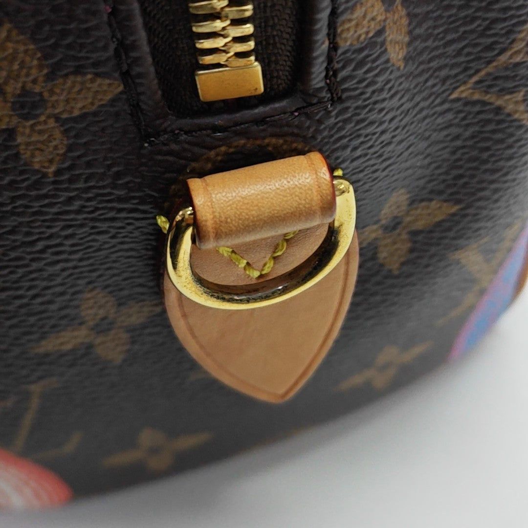 SPEEDY 20 Monogram Coated Canvas Brown