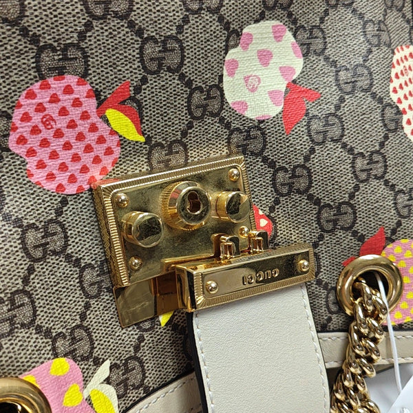 Padlock Small Monogram Coated Canvas Multicolor