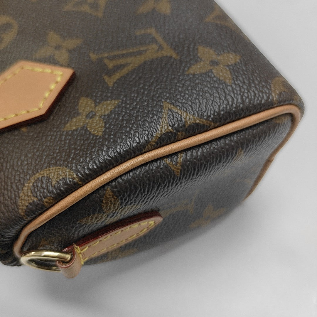 SPEEDY Nano Monogram Coated Canvas Brown
