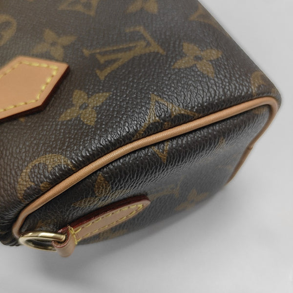 SPEEDY Nano Monogram Coated Canvas Brown