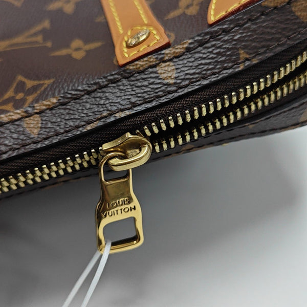 SOFT TRUNK PM Monogram Coated Canvas Brown