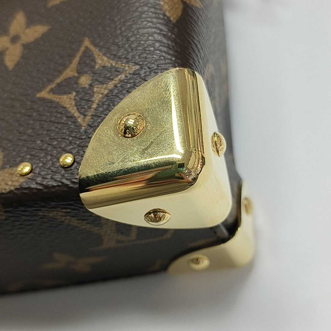 CAMERA BOX Monogram Coated Canvas Brown