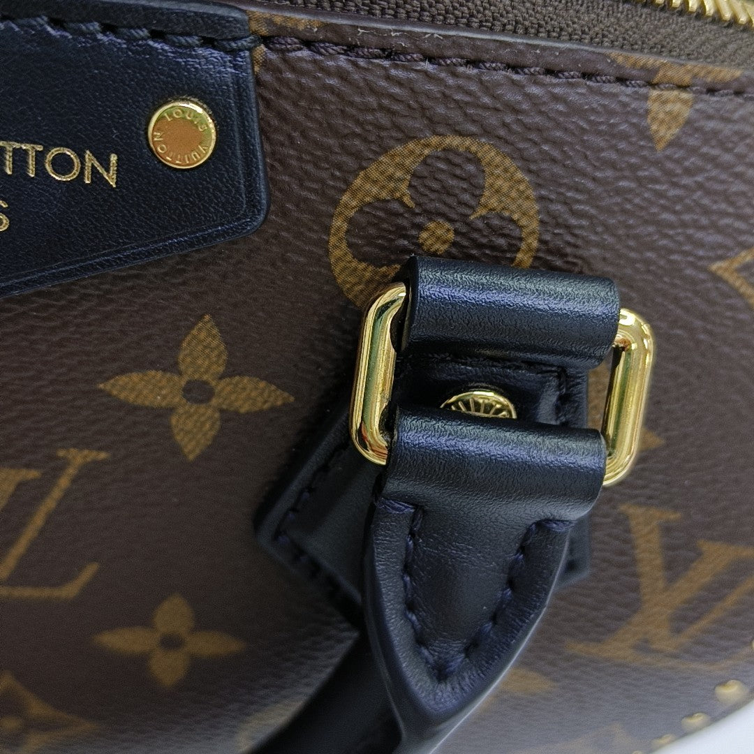 SPEEDY TRUNK 20 Monogram Coated Canvas Brown