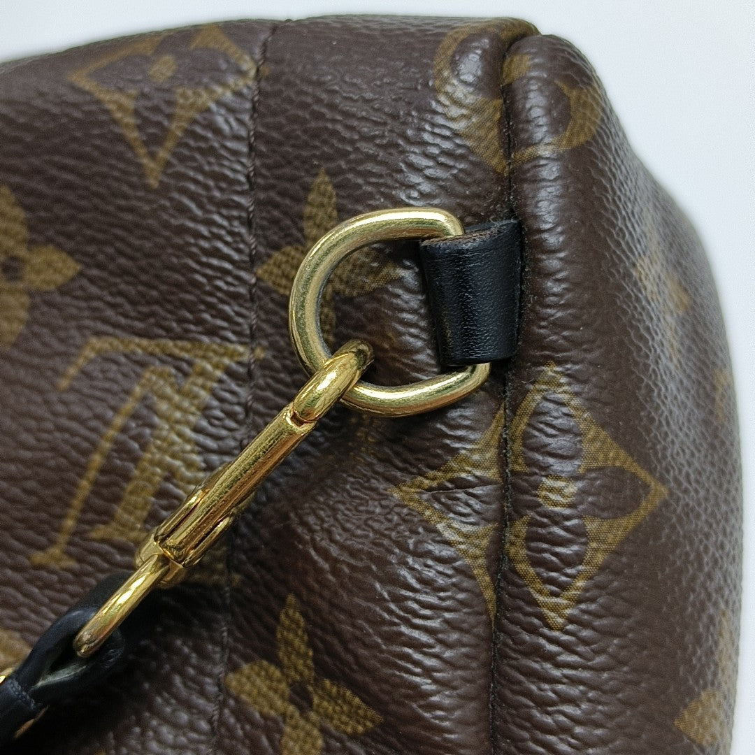 PALM SPRINGS Mini Monogram Coated Canvas Brown