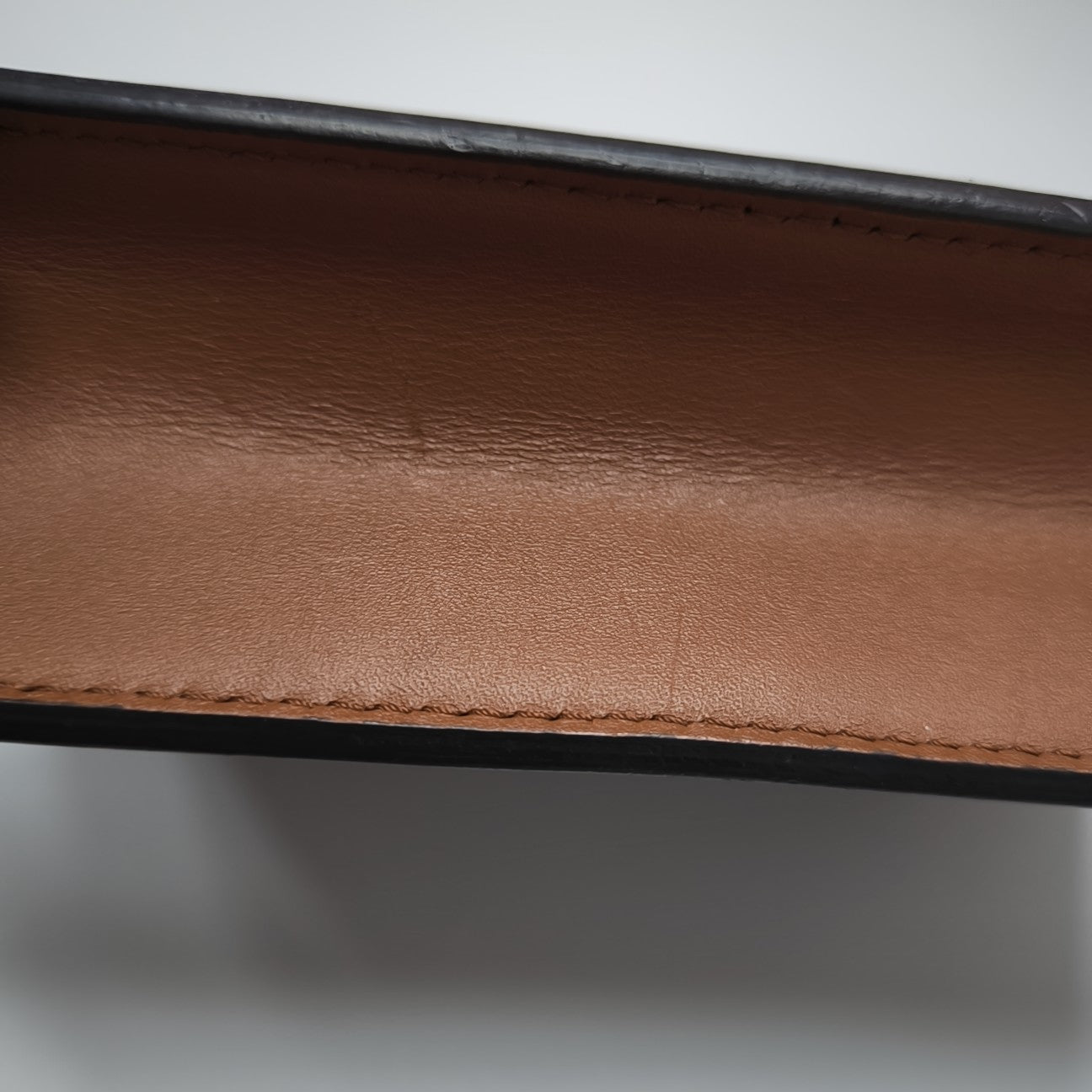 DAUPHINE WOC Monogram Coated Canvas Brown