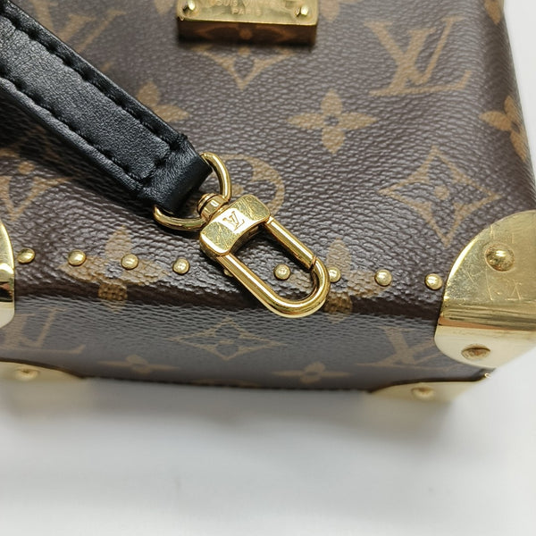CAMERA BOX Monogram Coated Canvas Brown