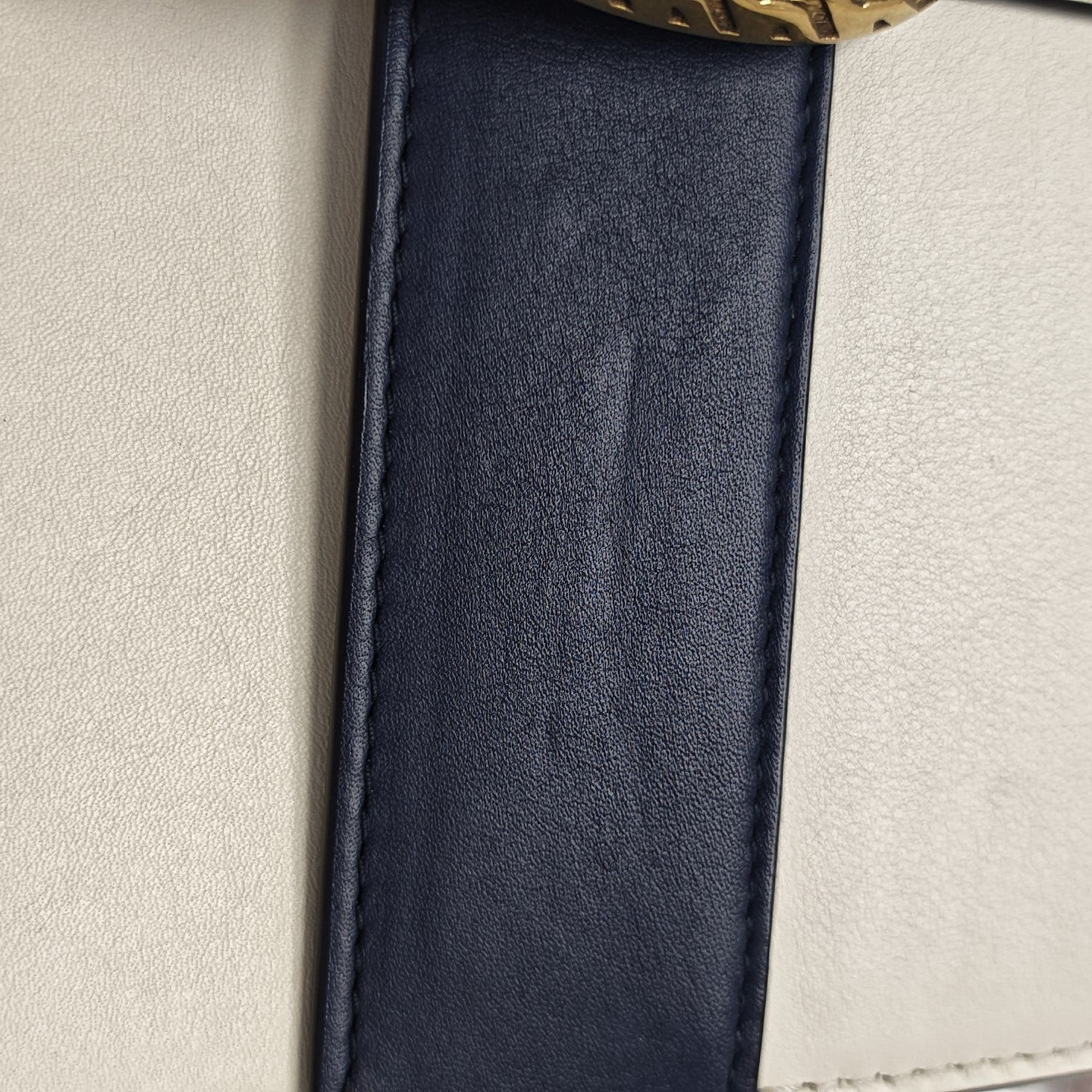 Dionysus Medium Calfskin Multicolor