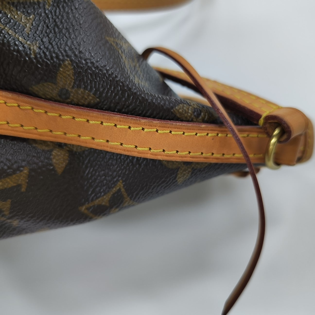 NÉONOÉ Nano Monogram Coated Canvas Brown