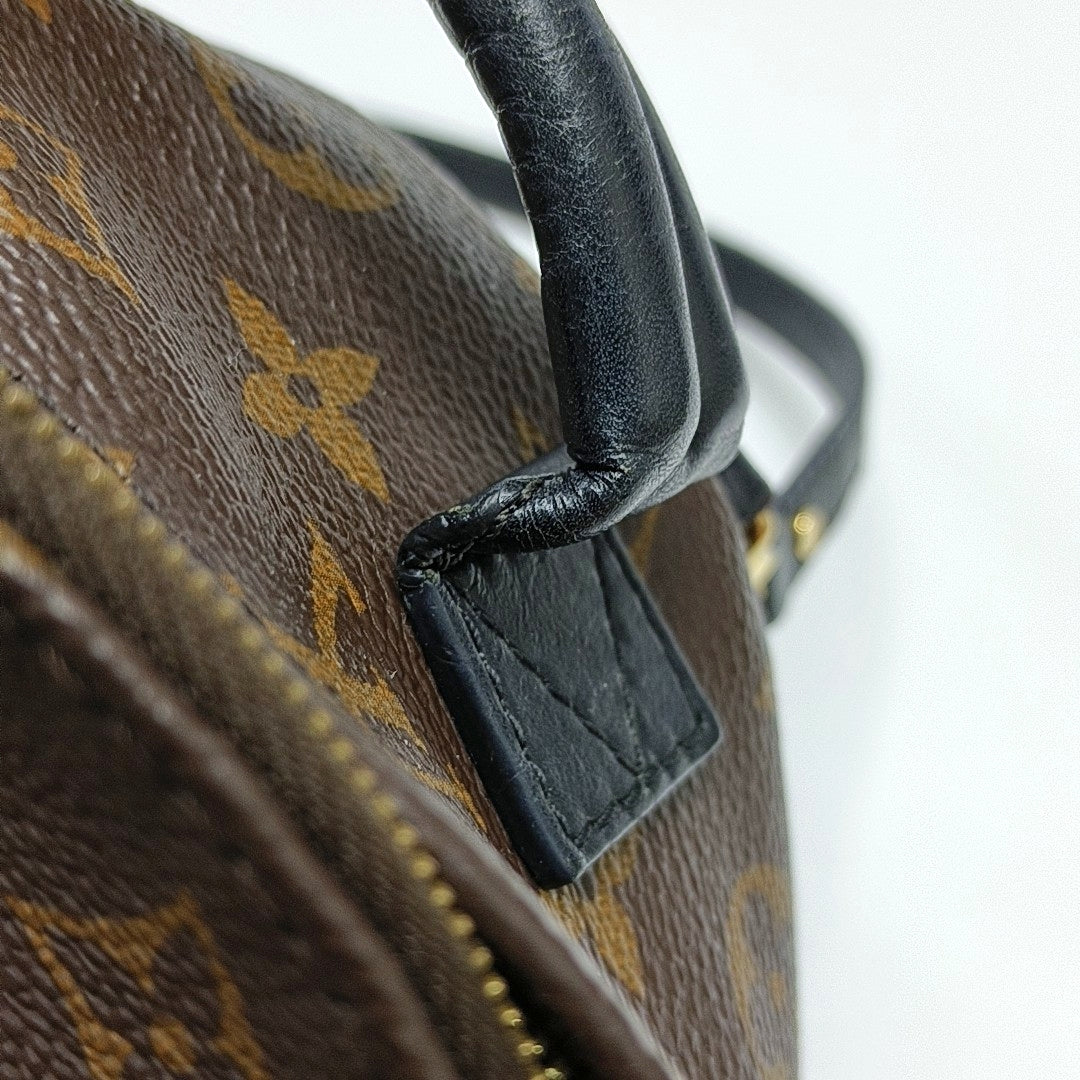PALM SPRINGS Mini Monogram Coated Canvas Brown
