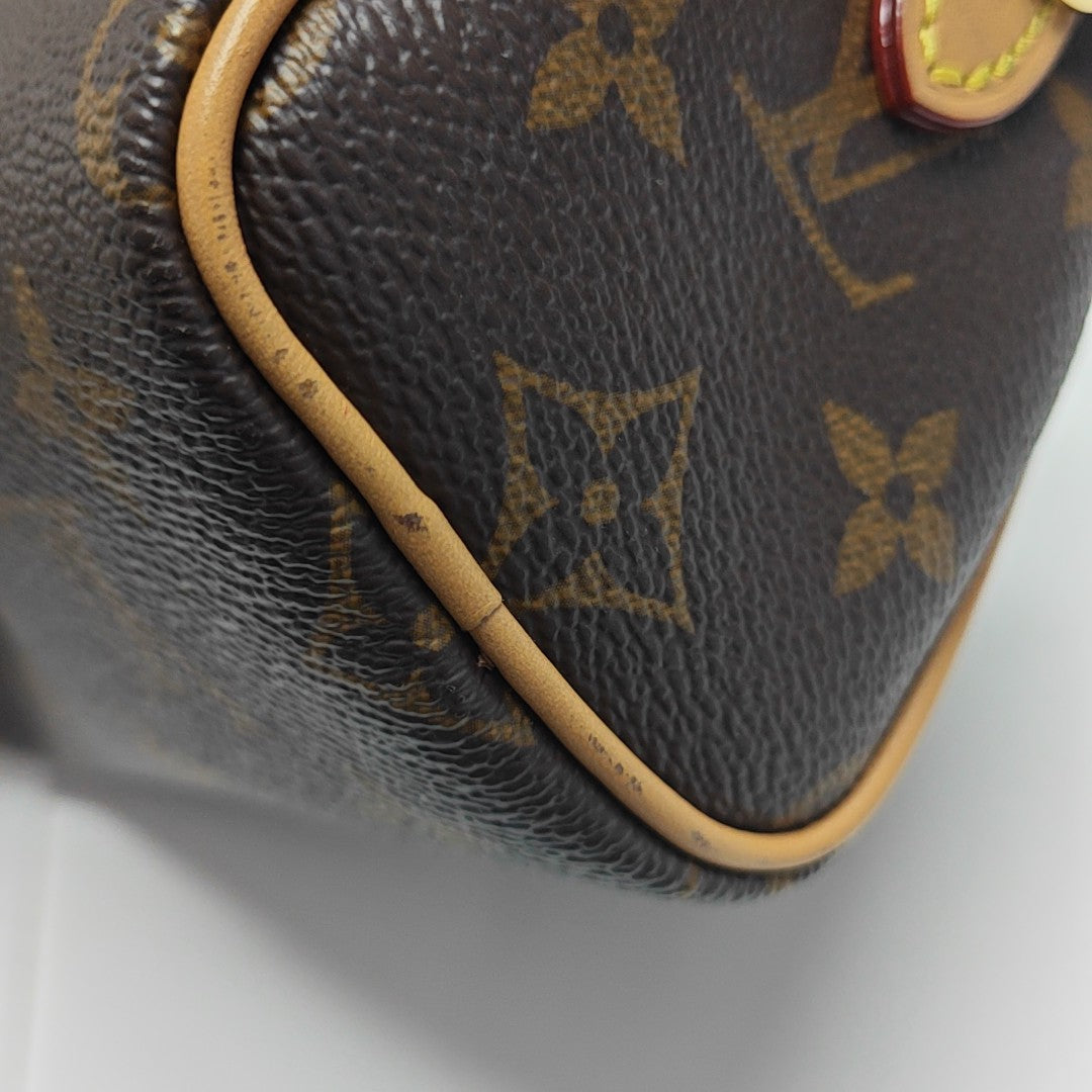 SPEEDY Nano Monogram Coated Canvas Brown