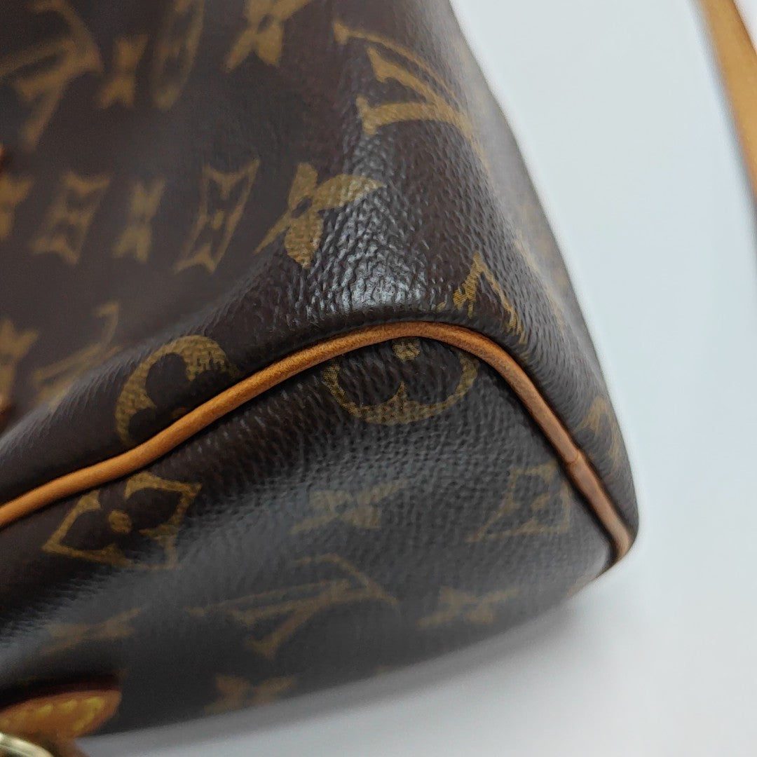 SPEEDY Nano Monogram Coated Canvas Brown