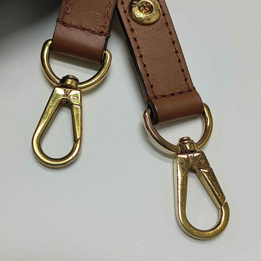 DAUPHINE MM Monogram Coated Canvas Brown