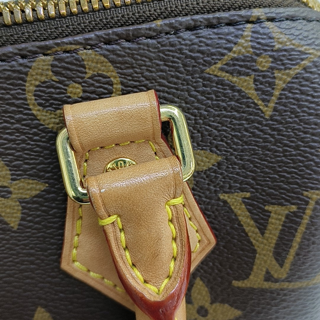 SPEEDY 20 Monogram Coated Canvas Brown
