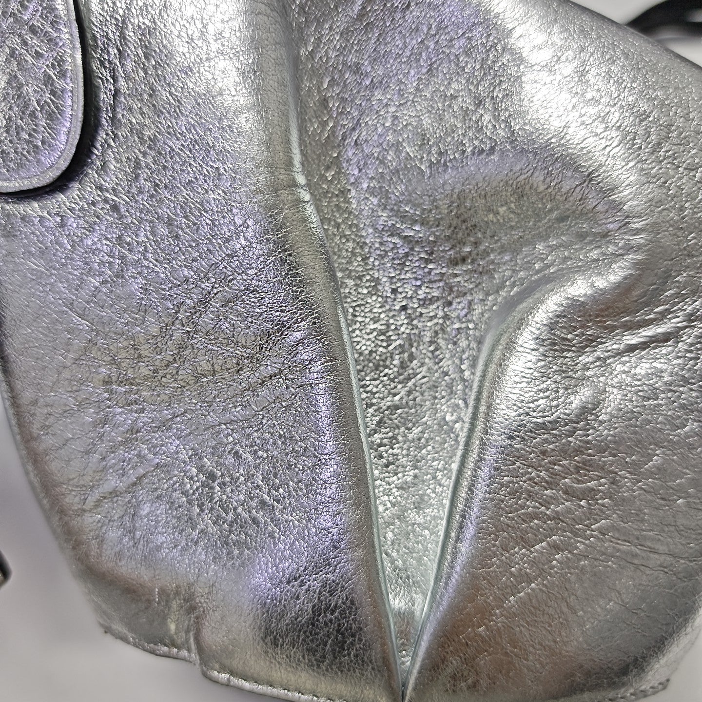 Animals Calfskin Gray