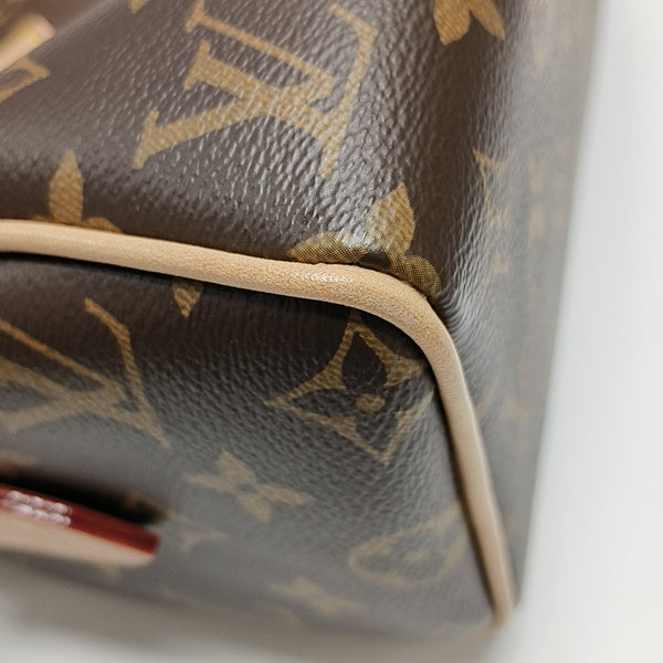 SPEEDY 20 Monogram Coated Canvas Brown