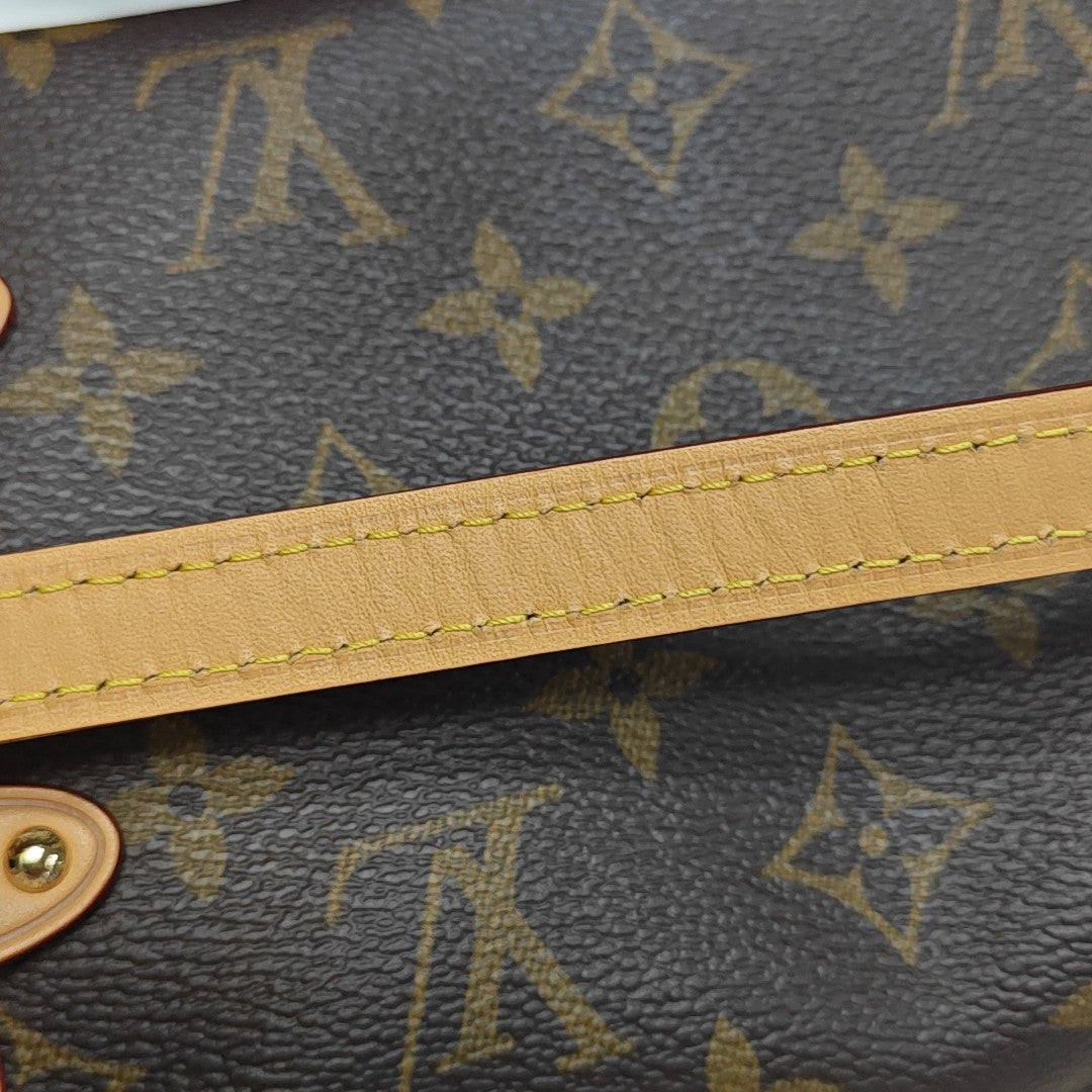 SIDE TRUNK PM Monogram Coated Canvas Brown
