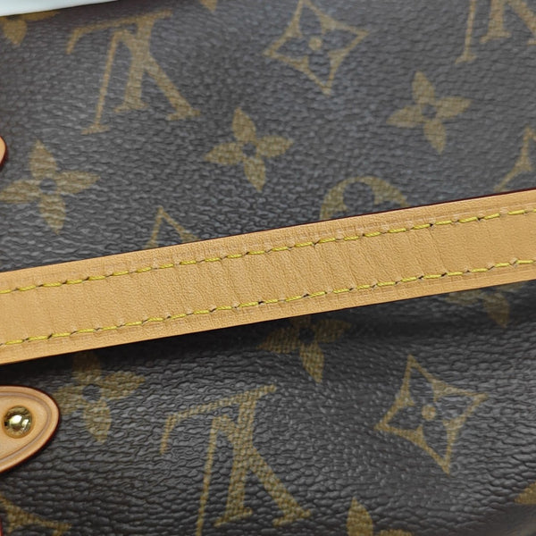 SIDE TRUNK PM Monogram Coated Canvas Brown