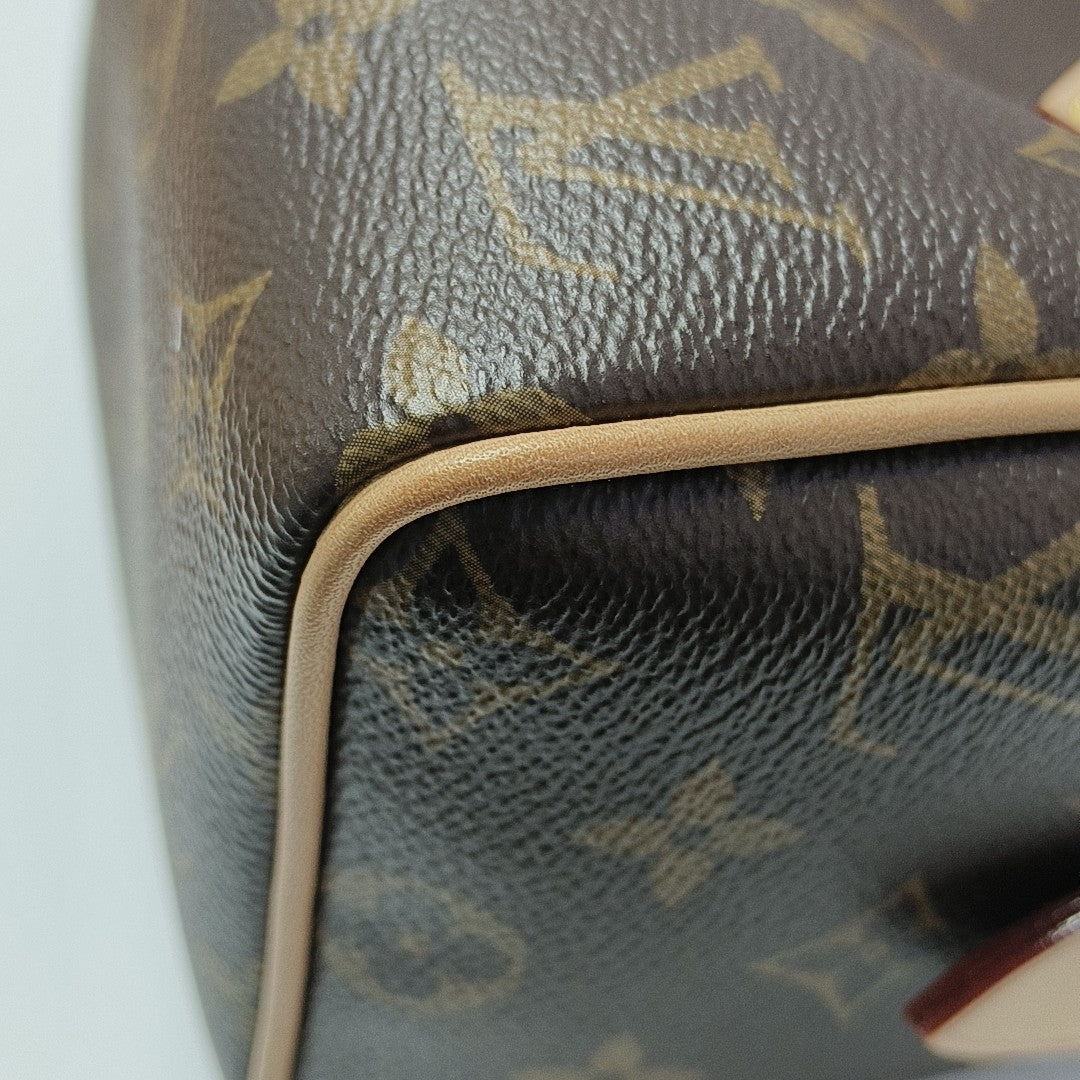 SPEEDY 20 Monogram Coated Canvas Brown